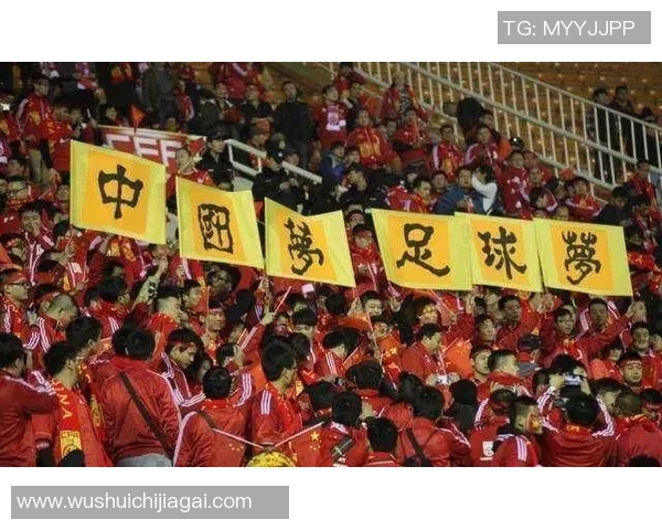 武汉排球队在洲际杯积分榜上以67分稳居第一名展现强劲实力