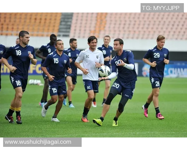 足球明星精彩瞬间集锦视频让你领略球场魅力与风采